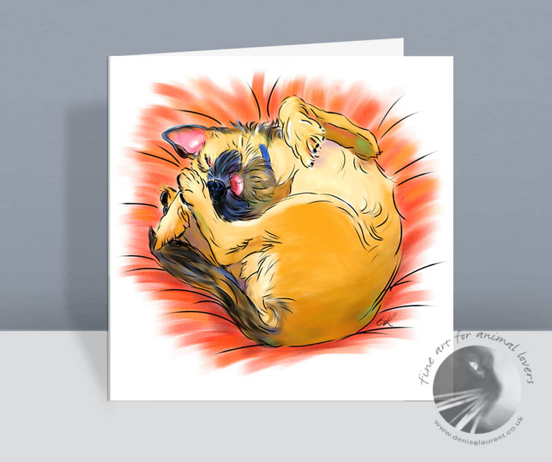 A cute illustration of a border terrier dog curled up asleep with his tongue sticking out on a square greetings card.