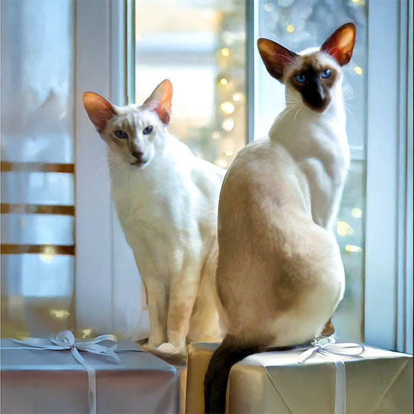 Two Siamese cats sitting on a windowsill with Christmas decorations.