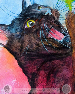 Catch! Black Cat Watercolour Painting