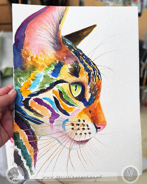 Colourful Tabby - Watercolour Painting