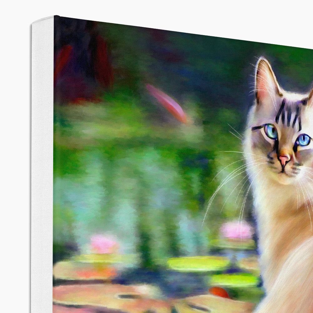 a longhaired cat with blue eyes sitting by a pond