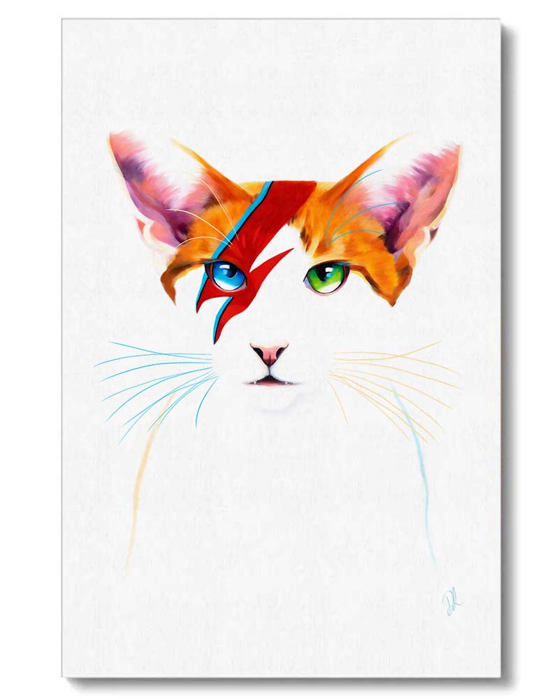 white and ginger cat with a red zig zag like the aladdin sane album cover