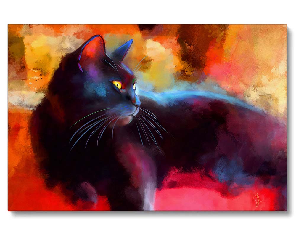 black cat on a colorful background