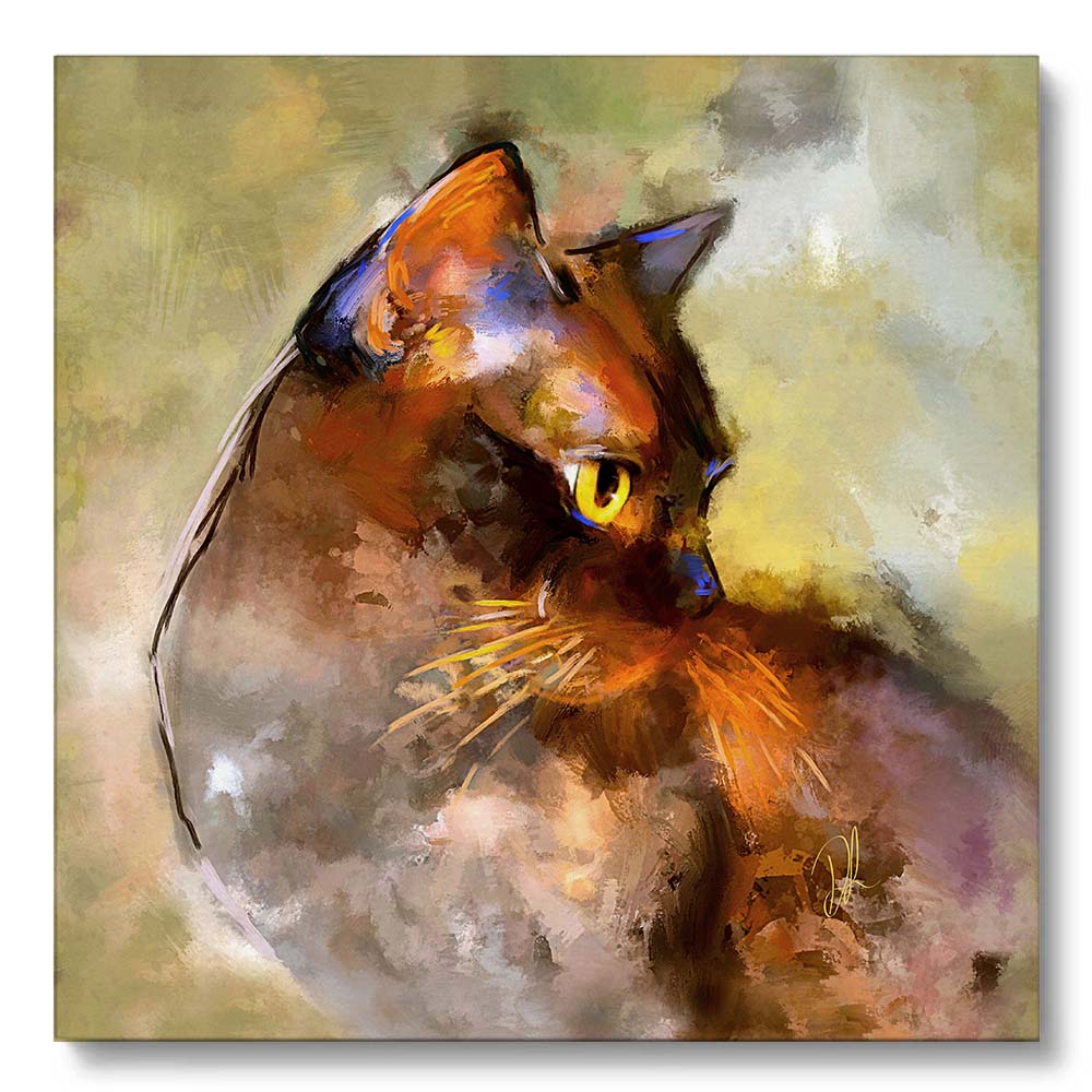 a brown burmese cat with a strong expression