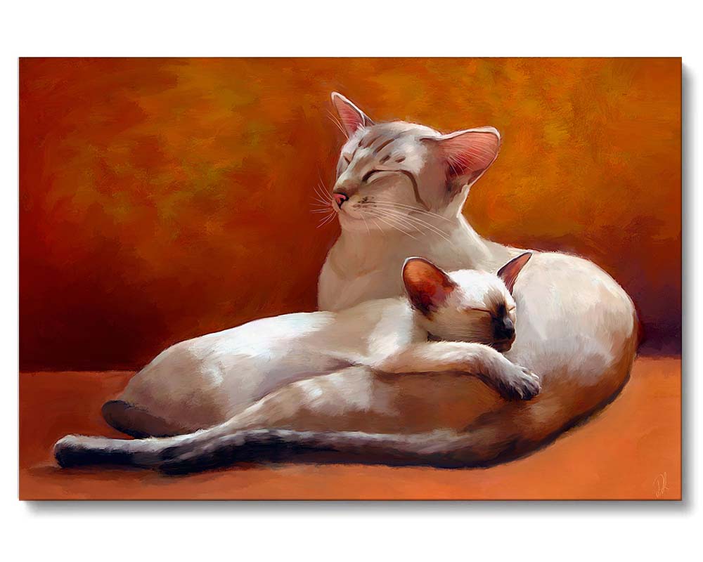 a siamese cat and his kitten