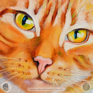 Ginger - Cat Fine Art Print