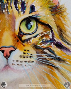 Golden tabby - Tabby Cat Watercolour