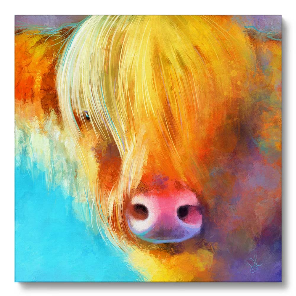 a blonde highland cow on a colourful background