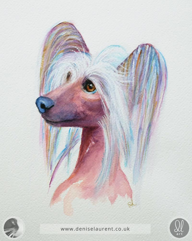 Gunner - Chinese Crested Dog Watercolour