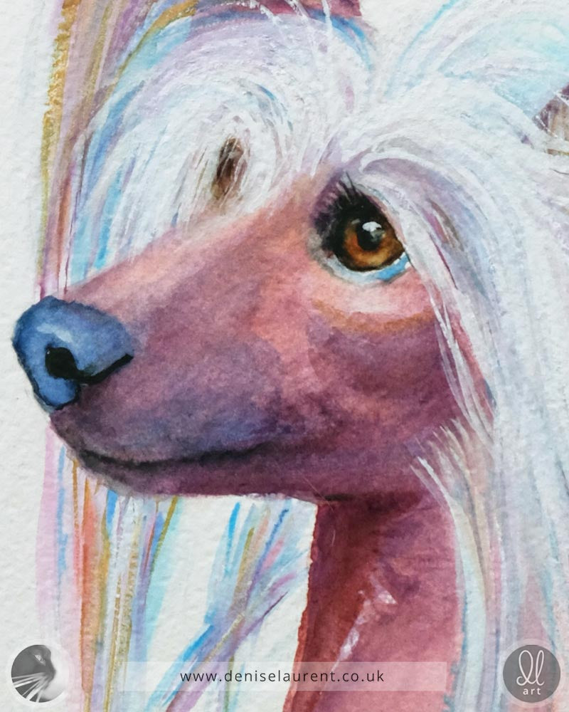 Gunner - Chinese Crested Dog Watercolour