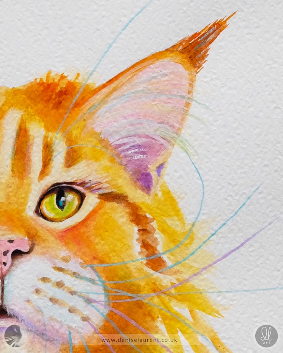 Close up of a colorful watercolor painting of a ginger maine coon cat showing his eye and whiskers on watercolour paper