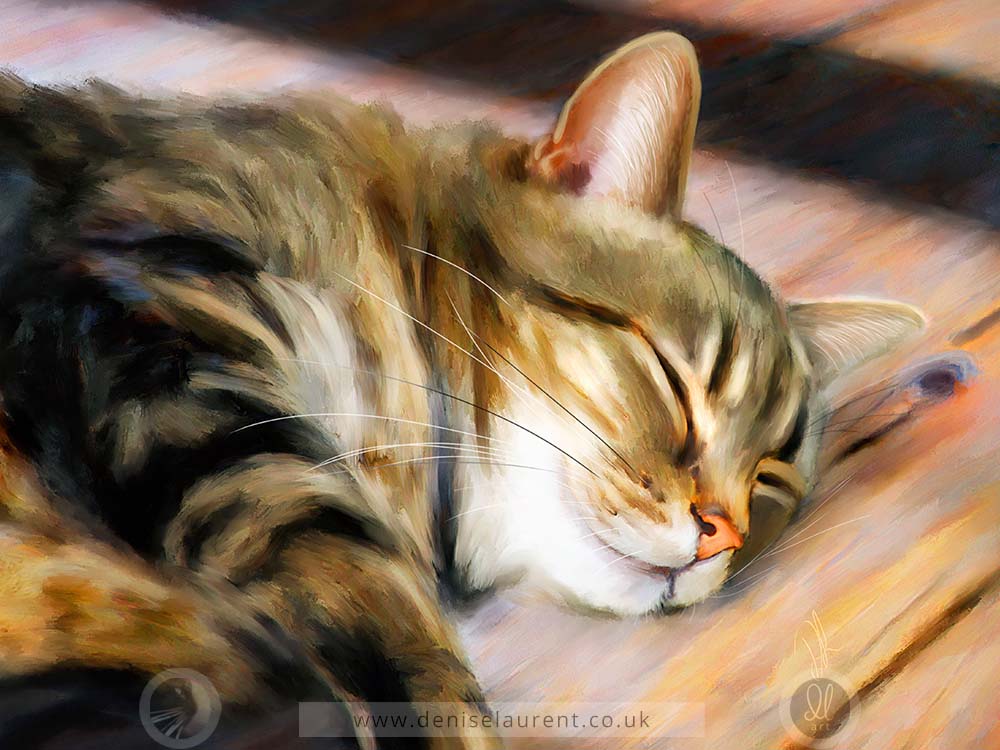 tabby cat asleep on the floor