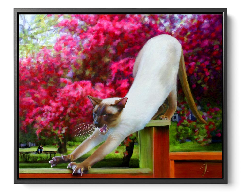 In The Pink - Siamese Cat Framed Canvas Print showcasing a chocolate point Siamese cat stretching and yawning on a fence, surrounded by blooming pink flowers in a lush spring setting.