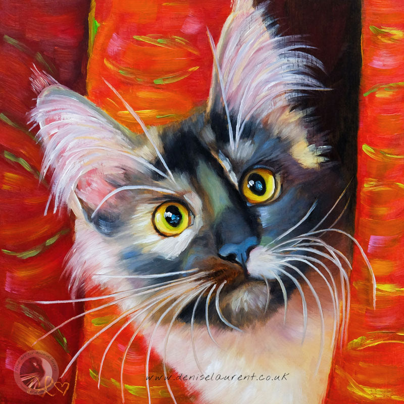 Jemima - Maine Coon Cat Print