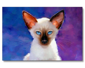 a siamese cat with blue eyes on a blue background