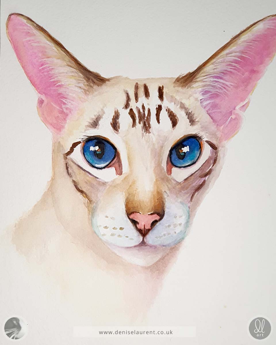 Pixie - Siamese Cat Watercolour