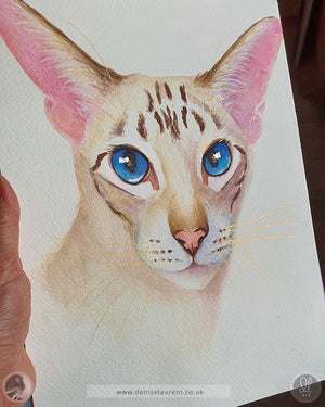 Pixie - Siamese Cat Watercolour