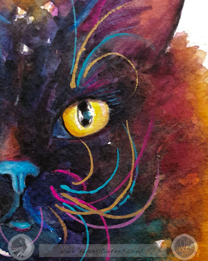 Midnight - Black Cat Watercolour Painting