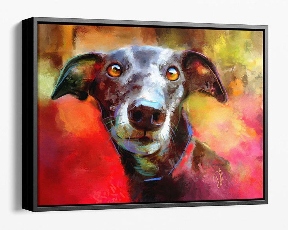 a black greyhound dog portrait on a colourful background