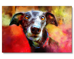 a black greyhound dog portrait on a colourful background