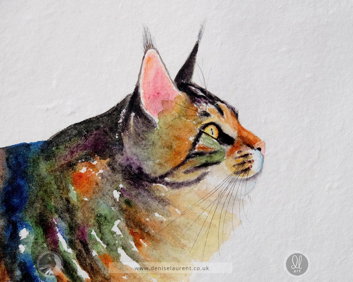 Miss Stripes Takes A Stroll