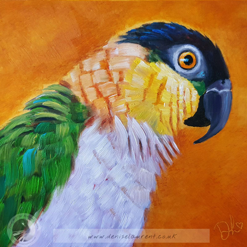 Percy The Parrot 6x6" Painting