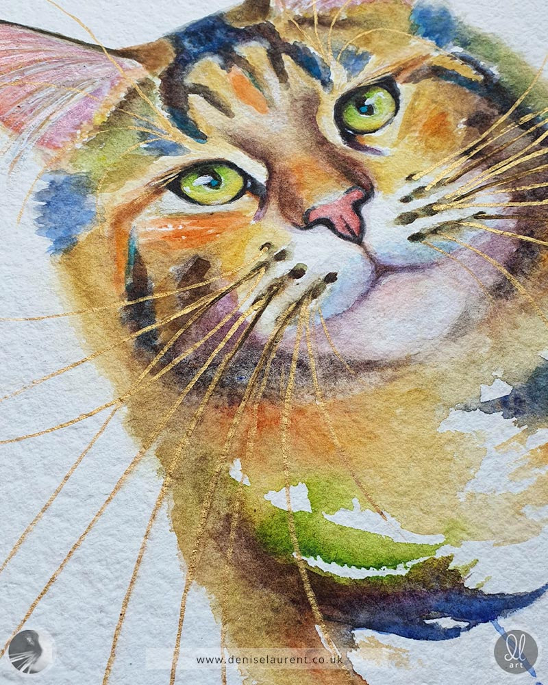 Phoenix - Maine Coon Cat Watercolour