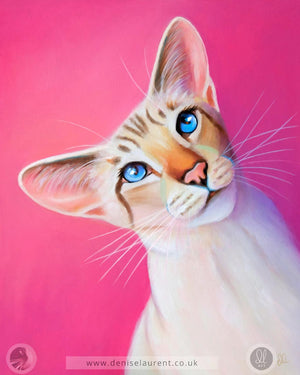 Pretty In Pink  - Siamese Cat Art Print