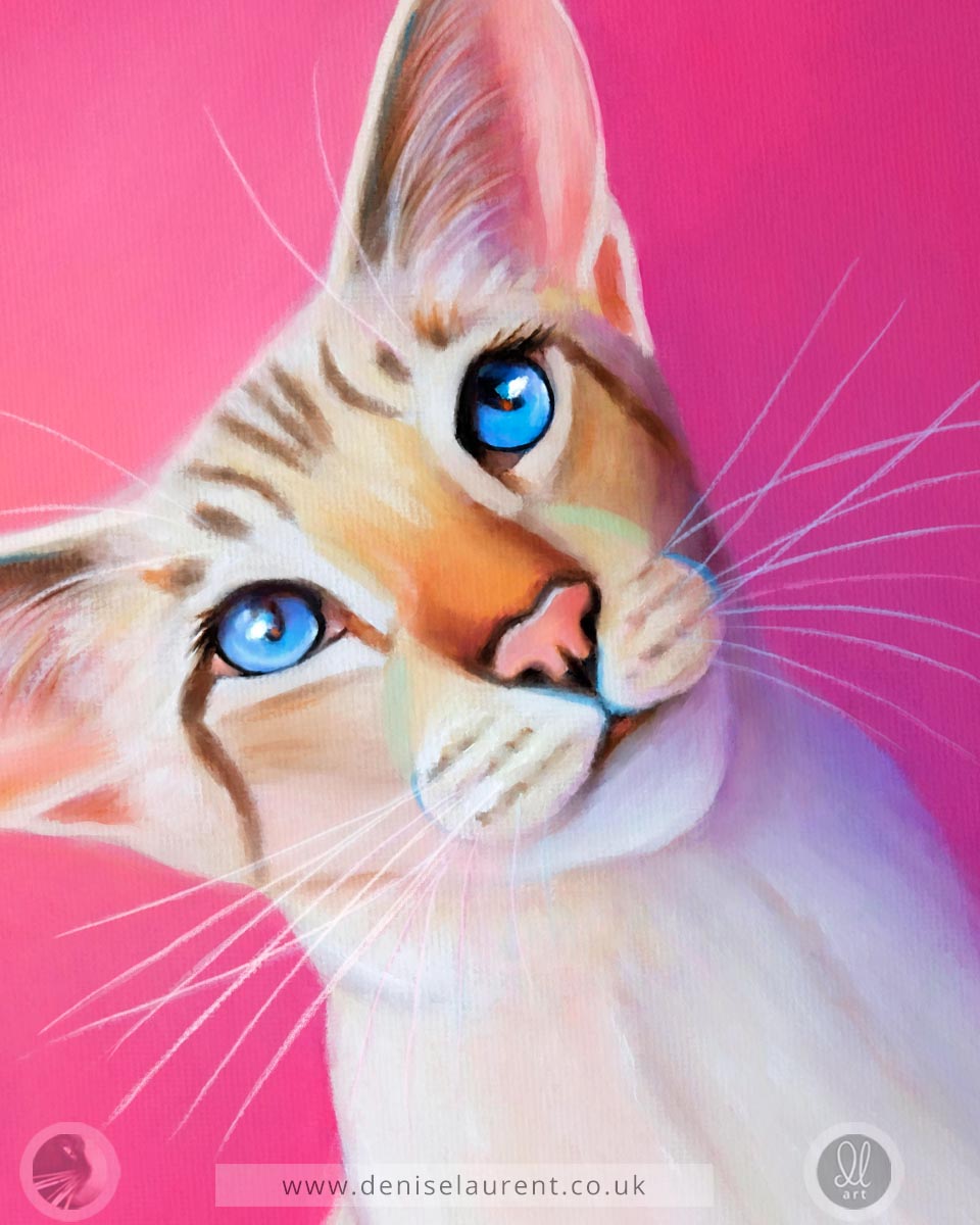 Pretty In Pink  - Siamese Cat Art Print