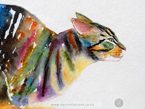 Racing Tabby - Tabby Cat Art Print