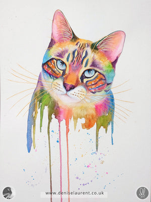 Colorful cat painting in watercolour with pinks, yellows, blues and greens on a white background