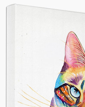 Rainbow Cat - Eco Canvas