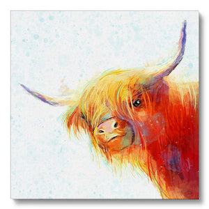 rose a colourful highland cow print