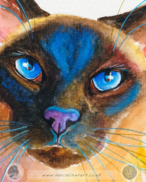 Sheba Siamese Cat Watercolour Painting