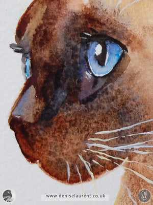 Siamese Cat Profile  - Watercolour