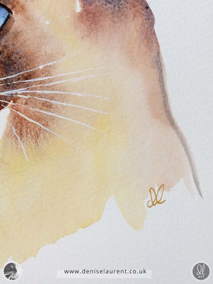 Siamese Cat Profile  - Watercolour