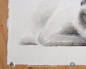 Taking It Easy - Siamese Cat Watercolour