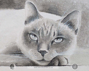 Taking It Easy - Siamese Cat Watercolour