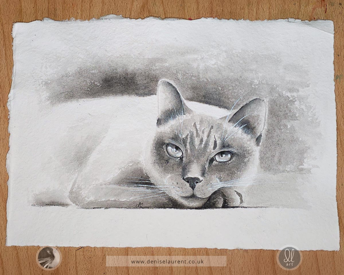 Taking It Easy - Siamese Cat Watercolour