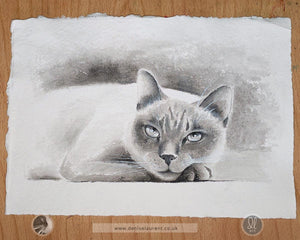 Taking It Easy - Siamese Cat Watercolour