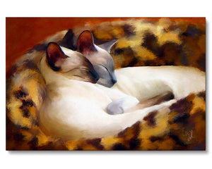 two siamese cats curled up together as a canvas print