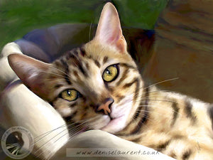 Starry Eyed - Bengal Cat Print