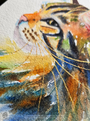 Tabby Cat Profile  - Watercolour