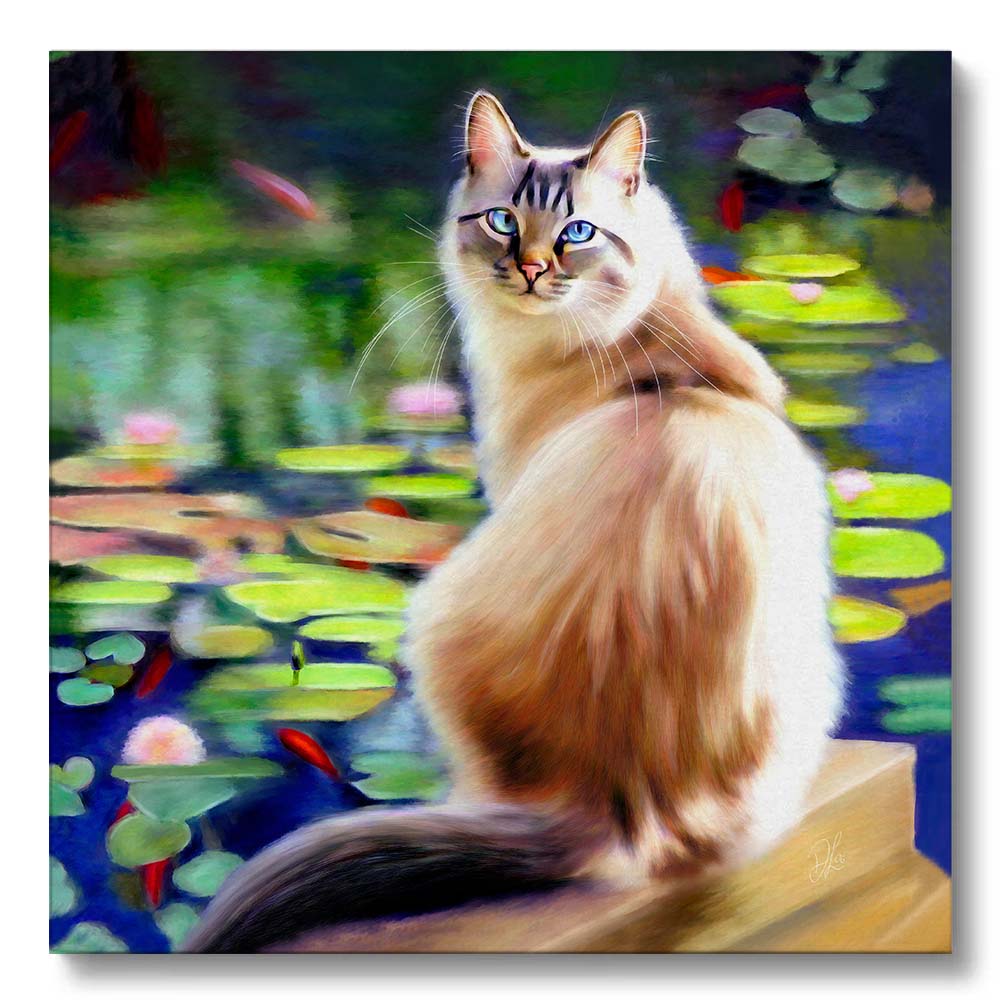 a longhaired cat with blue eyes sitting by a pond