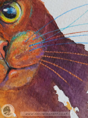 The Bird Watcher  Brown Cat Watercolour Painting
