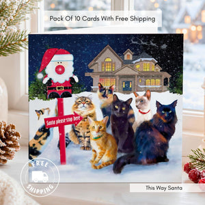 Pack Of 10 Christmas Cards