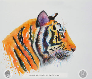 The Tiger's Gaze Framed Watercolour Painting