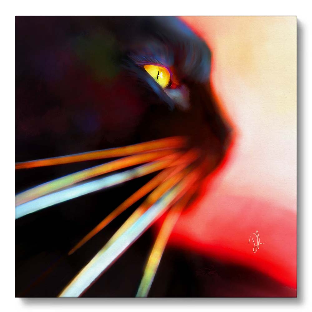 an abstract canvas print of a black cat and his amazing whiskers