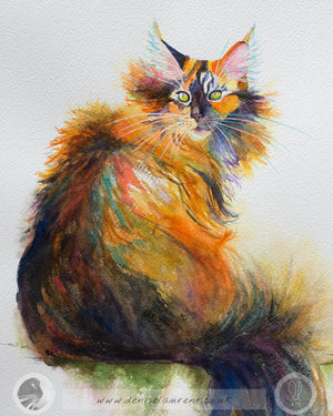 Windswept Tortie -  18"x12" Watercolour Painting