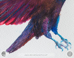 Wings Of Fire - 16"x12" Crow Watercolour Painting